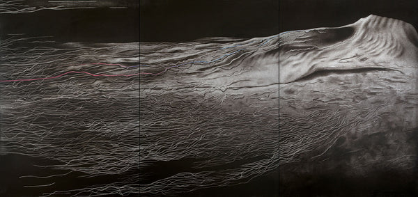 Review | “Visions of interiority : Interrogating the Male body” by Rameshwar Broota