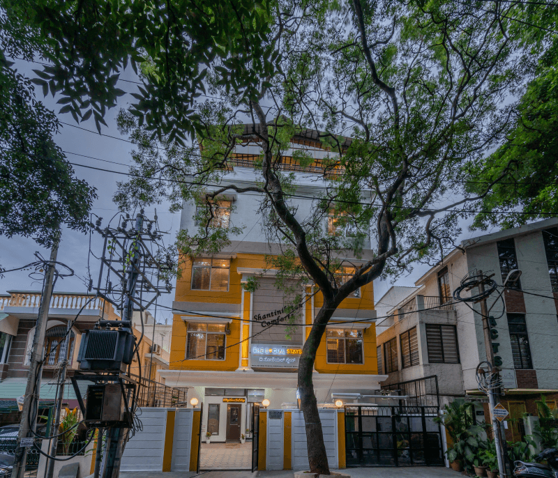 The Social Stays Bangalore Best Hostel of Bangalore, The Social Stays Bangalore