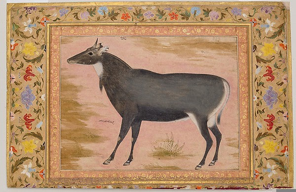 Portrayal of Animals in Miniature Paintings