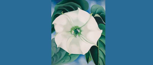 Georgia O’Keeffe: Poetry in Art